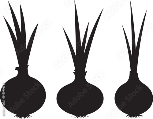 Silhouette vase on white background