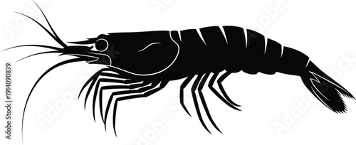 Simple black silhouette of a small shrimp or prawn viewed from the side on.