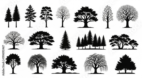 Collection of diverse tree silhouettes for design and decoration