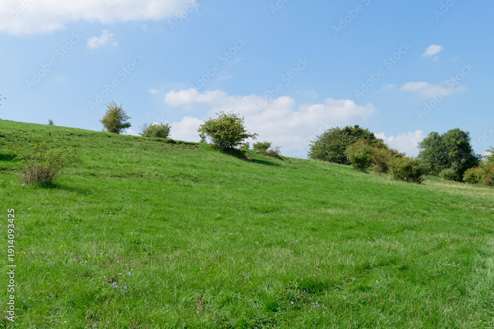 Obraz premium Green grassy hill under a blue sky with scattered trees on a bright, sunny day.