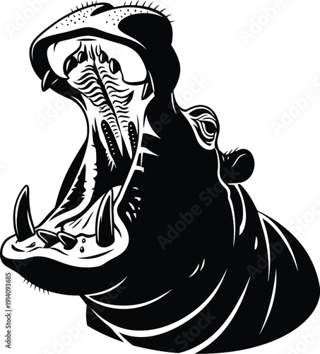 Hippopotamus head roars widely showing massive tusks and open mouth.