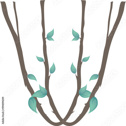 Create a Liana, Leafs, Plant vector graphic in a isolated transparent white background