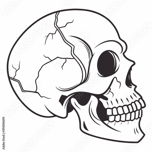 A black and white drawing of a skull with a cracked head
