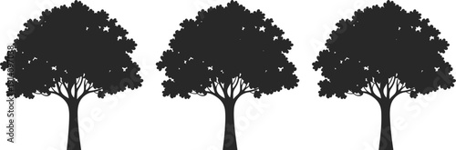 Silhouette illustration of three identical deciduous trees aligned in horizontal row, thick trunks, rounded canopies, stylized nature design