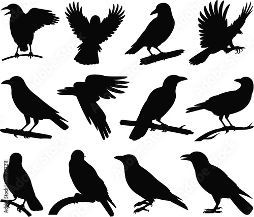Silhouettes of crows and ravens in various poses, flying, perching, standing, arranged in grid pattern for design use