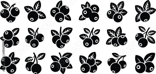 Stylized black and white berry cluster illustrations, botanical leaf designs, decorative fruit artwork, vector nature graphics for creative projects