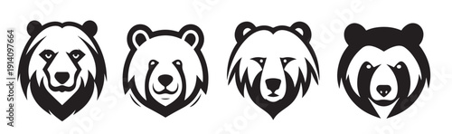  bear head portrait sketch hand drawn illustration 