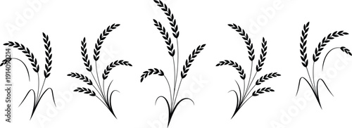 Stylized rice plant illustration, decorative agricultural motif, black and blue stalks with grain clusters, elegant symmetrical design artwork