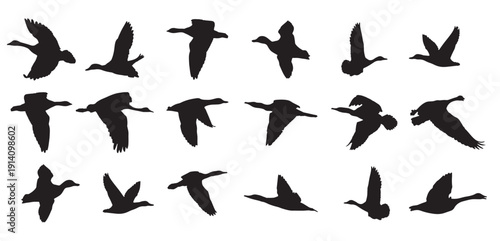 goose silhouette icons silhouette goose on white 