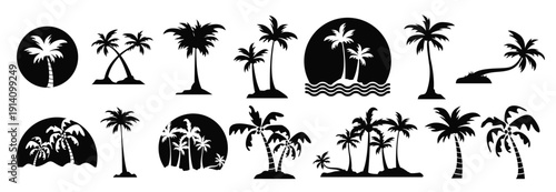 Palm Tree with leaves , coconut tree , silhouettes isolated on white background