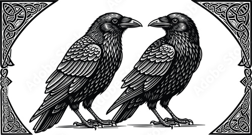Black and white hand drawn vector illustration of two crows with detailed feathers and ornate celtic knots for gothic mythology nature and bird branding,