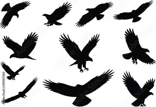 Eagle and hawk silhouettes set, flying raptor birds of prey collection, black vector illustration isolated for wildlife design