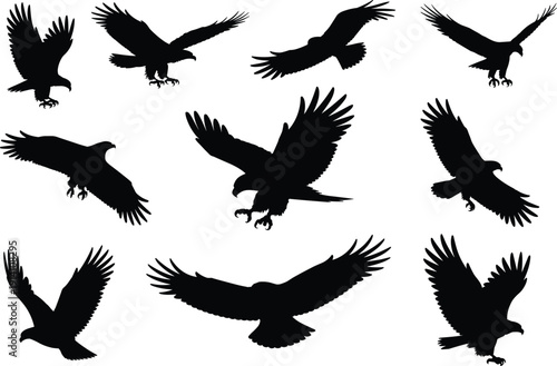 Flying eagle silhouettes collection, hawk falcon raptor birds of prey set, black vector illustration isolated for wildlife design
