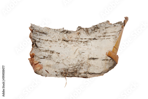 Foto A piece of birch bark isolated on a transparent background