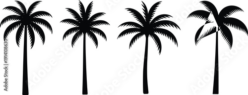 Palm tree silhouettes set, tropical coconut palm collection, black vector illustration isolated for summer beach landscape design
