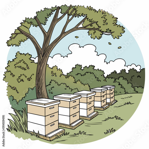 Beehives under tree in apiary bees nature