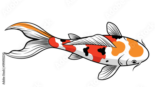 Illustration of a koi fish with orange, white, and black patches swimming on a plain white background.
