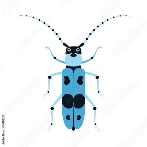 alpine barbel beetle isolated