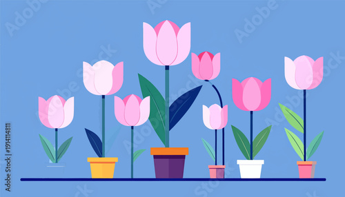 A row of various pink potted tulips stand on a blue shelf against a solid blue background