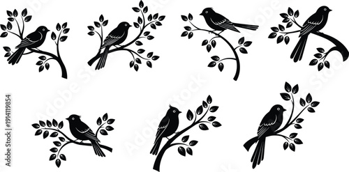 WebVector illustration of bird silhouettes perched on branches in black artistic design, showcasing decorative leaves and elegant posture, concept for wildlife, nature, design