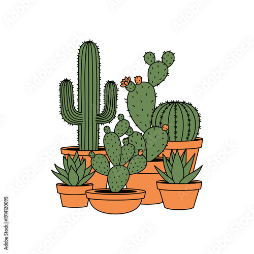 Collection of potted cacti and succulents in various shapes and sizes.