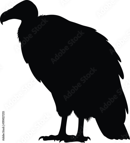 Vulture bird silhouette stands tall with hooked beak on bright white.