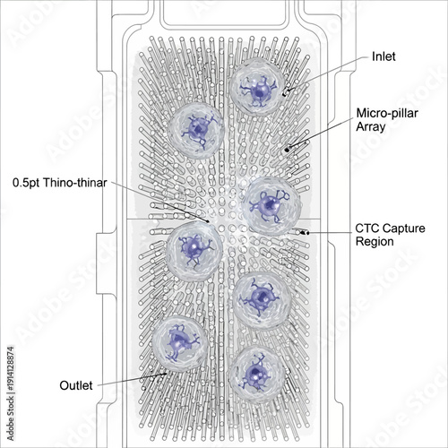 Technical diagram of a micro-pillar array device for circulating tumor cell (CTC) capture