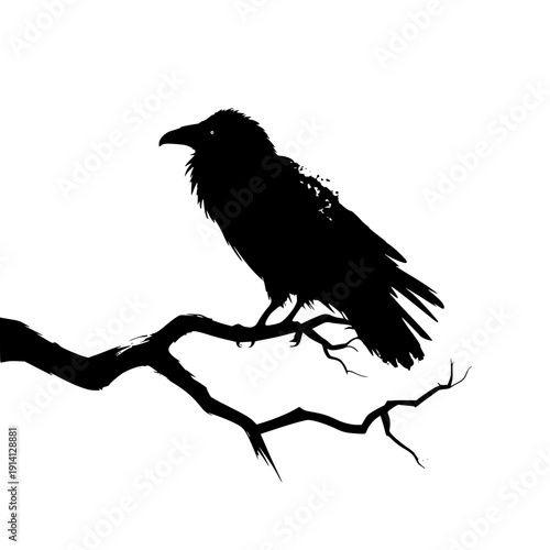 Majestic black raven perched on twisted tree branch