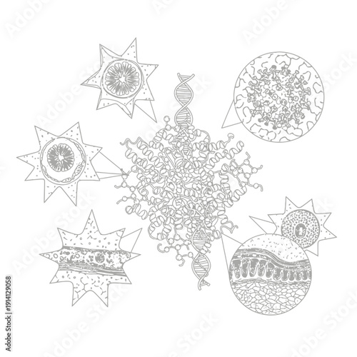 Detailed molecular map highlighting structural components of viral particles and genetic material