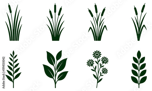 Variety of green plant silhouettes, including cattails and leafy branches