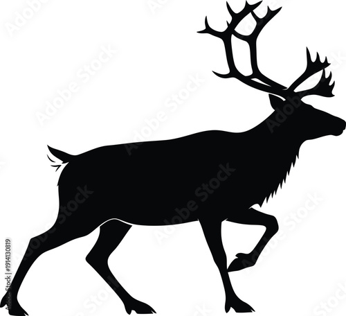 Reindeer silhouette walks forward proudly displaying its massive branching.