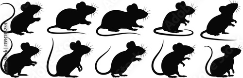 Rat and mouse silhouettes collection, black rodent animal icons set, pest control wildlife vector illustration isolated for mascot, infestation and logo design