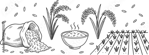 Rice production process with sack rice plants bowl and paddy field hand drawn outline vector illustration set