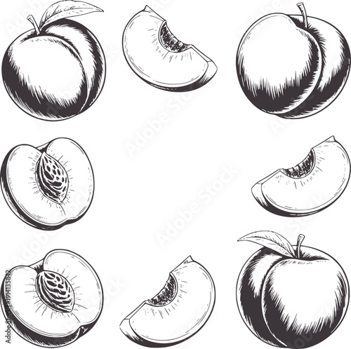 Monochromatic of whole and sliced peaches with leaves fruit leaf