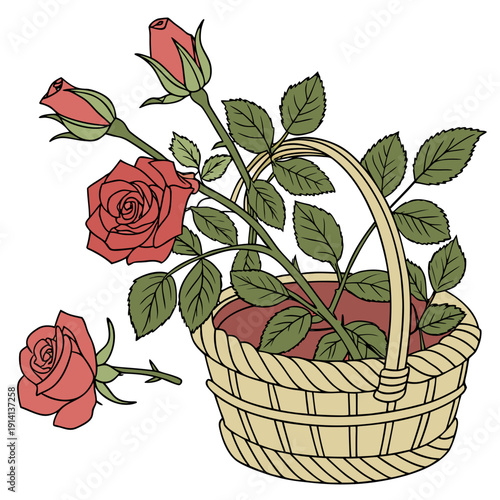 Red roses in a woven basket with green leaves flowers