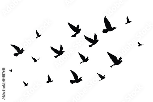 Flying birds silhouettes pattern wallpaper. Vector illustration. isolated bird flying. tattoo design. template for card, package, and wallpaper.