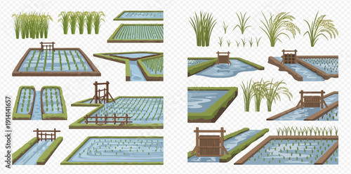 Rice paddy fields and plants vector set for agriculture and farming, with irrigation systems and water channels.