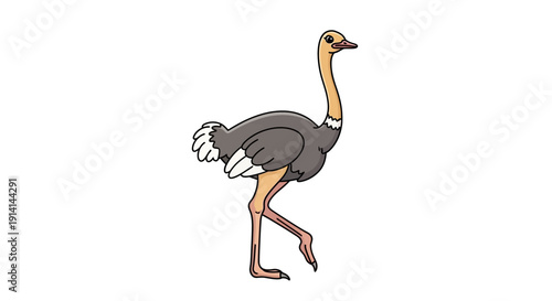 Illustration of a standing ostrich with detailed feathers and long legs.