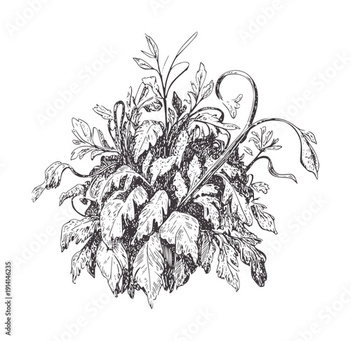 Black and botanical leaf with intricate veins and curling stems leaves