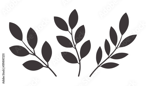 Three dark gray leafy branches a leaves twigs foliage