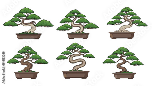 A beautiful collection of six distinct bonsai trees, meticulously shaped and potted, showcasing the art of miniature tree cultivation.