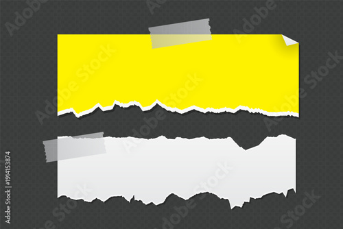 Realistic Torn White Paper Texture with Ripped Edges on Transparent Background