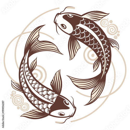 Two brown and beige koi fish swimming in a circle