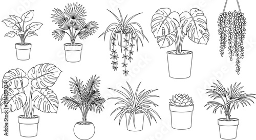 Hand drawn houseplant collection, potted indoor plants line art isolated on white background