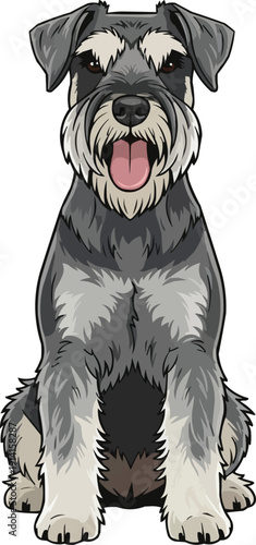 Standard Schnauzer Dog sitting happy smiling facing front