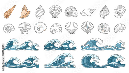 Beautiful collection of various hand drawn seashells and crashing blue ocean waves in a vintage or antique illustration style.