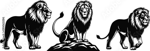 Black lion silhouette set, majestic African wildlife predator standing sitting poses, detailed vector illustration isolated on white background