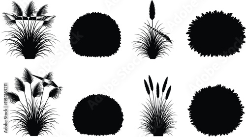 Black ornamental grass and bush silhouettes set, decorative garden plants collection isolated on white background, botanical vector illustration