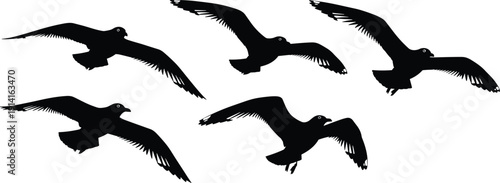 Flying bird silhouettes isolated on white background, black avian shapes in motion, wildlife nature concept illustration design