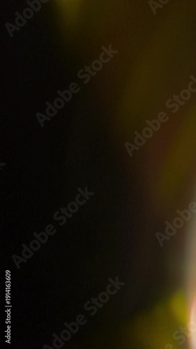 Dynamic Vertical Light Leak Bokeh Transition with vibrant colors and soft focus. Perfect for creative projects.